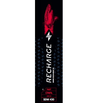Recharge mast - Fast 430 SDM C96