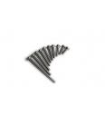 Vijak za smernik Fin Screw M6 x 65